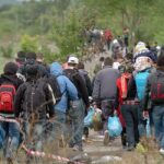 Migrants walking in a caravan.