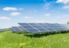 Solar panels in a grassy field under blue sky.