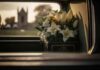 White flowers in a car with blurred background