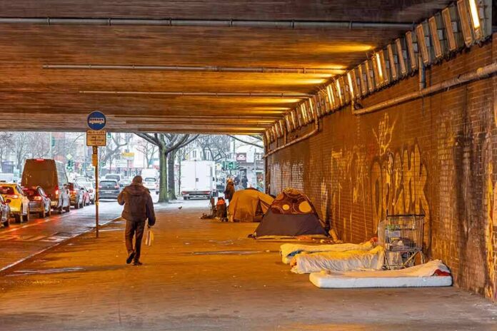 2423598655 featured image People walk under a bridge with homeless encampment