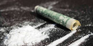 Powder lines rolled dollar bill on black surface