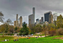 City skyline with park and people relaxing.