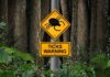 Warning sign about ticks in a forested area