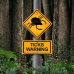 Warning sign about ticks in a forested area