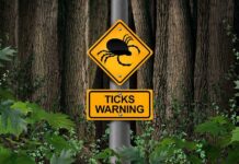 Warning sign about ticks in a forested area