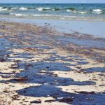 Summer Danger: Vibrio Infections Skyrocket Oil spill on a sandy beach with waves in the background