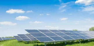 Solar panels in a grassy field under blue sky.