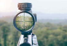 Rifle scope aiming at a distant tree.