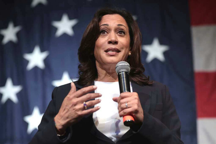 185042987 Woman speaking with microphone, American flag background.