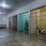 Interior view of a prison cell block with metal bars and concrete flooring