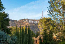 Electrocution Horror Shakes Hollywood — Oh NO! Hollywood sign on hill surrounded by trees and buildings.