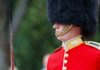 Prince Andrew’s Shocking Photo Leaked British soldier in ceremonial uniform with a black fur hat standing guard