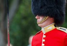 Prince Andrew’s Shocking Photo Leaked British soldier in ceremonial uniform with a black fur hat standing guard