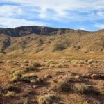 Crypto Billionaire TORTURED to Death in Desert A vast desert landscape with a mountain range under a blue sky