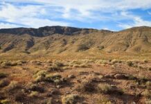 Crypto Billionaire TORTURED to Death in Desert A vast desert landscape with a mountain range under a blue sky