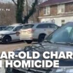 'Daddy's dead': PA boy had Nintendo Switch taken away