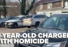 'Daddy's dead': PA boy had Nintendo Switch taken away