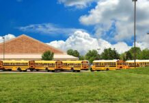 DEFENSELESS Kids Victimized: Unbelievable School FAILURE A row of yellow school buses parked in front of a school building under a cloudy sky
