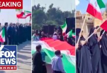 Human Shields Ring Iran Power Plants