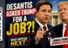 Trump Confidants Warn: DeSantis AG Risk Too High