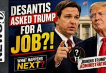Trump Confidants Warn: DeSantis AG Risk Too High