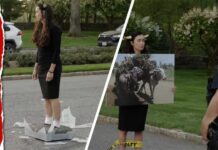 Cemented Bulls Storm PepsiCo HQ