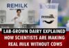 Lab-Grown Milk That Barely Touches A Cow