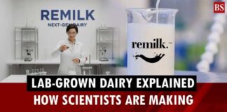 Lab-Grown Milk That Barely Touches A Cow