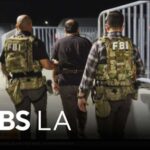 An Iraqi national allegedly plotted to carry out terror attacks in the U.S., including at a Los Ange