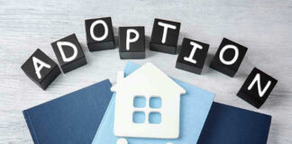 Adoption blocks, books, house, and family paper cutouts.
