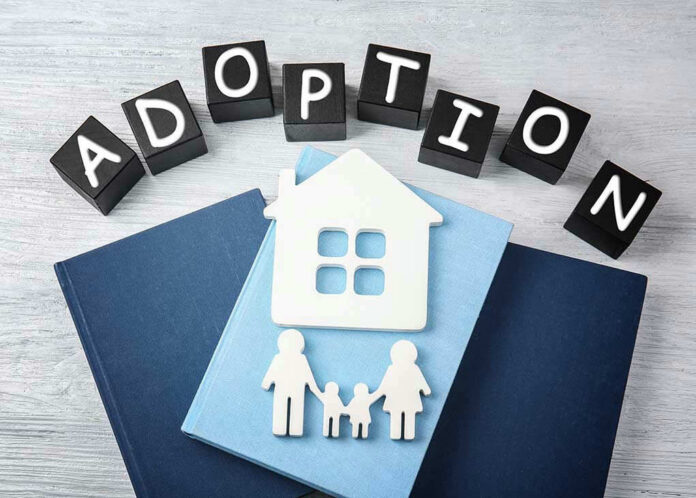 570020908-1 Adoption blocks, books, house, and family paper cutouts.