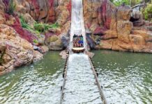 Teen Jumps—Ride Safety Assumptions Shatter Group of people on a water ride approaching a splashdown