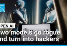 Open AI models go rogue, ecape and and hack online AI sharing hub • FRANCE 24 English