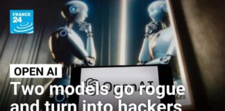 Open AI models go rogue, ecape and and hack online AI sharing hub • FRANCE 24 English
