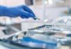 Fake Dentist Vanishes — FBI On Alert Gloved hand holding a dental mirror over instrument tray