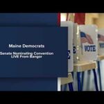 Two Top Democrats Hint Leaving Party Over Socialist Pick Democratic Nomination Convention for US Senate