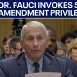 Dr. Fauci pleads the 5th Amendment in COVID senate hearing | KTVU