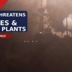 Trump Threatens to Bomb Bridges & Power Plants if Iran Attacks Strait of Hormuz Ships