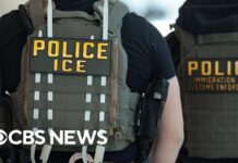 ICE Torches Media’s Latest Bodycam ‘Scandal’ ICE halts most vehicle stops and increases bodycam use after fatal shootings in Texas and Maine