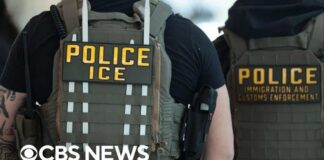 ICE halts most vehicle stops and increases bodycam use after fatal shootings in Texas and Maine