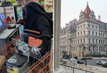 Woman arrested for allegedly plotting New York state Capitol attack