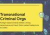 American Companies Can Now Hack Foreign Criminals Is "Hacking Back" Finally Legal? Trump's Private Sector Cyber Memo Explained