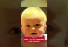 Custody War Turns Homicide Custody War Turns Homicide