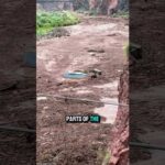 🚨 More Than 20 Hikers Missing After Flash Flood Sweeps Through Grand Canyon