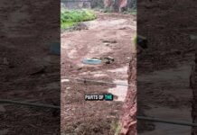 🚨 More Than 20 Hikers Missing After Flash Flood Sweeps Through Grand Canyon