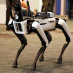 New Robot Ban Stuns Tech Robotic dog standing on indoor carpeted floor.