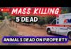 🔴 BREAKING: 5 People KILLED on Rural Oregon Property | Animals Dead All Over