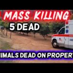 🔴 BREAKING: 5 People KILLED on Rural Oregon Property | Animals Dead All Over
