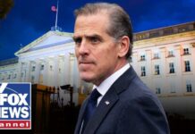 'LFG': Hunter Biden signals possible 2028 run