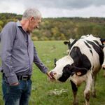 Man petting a black-and-white cow in a grassy field